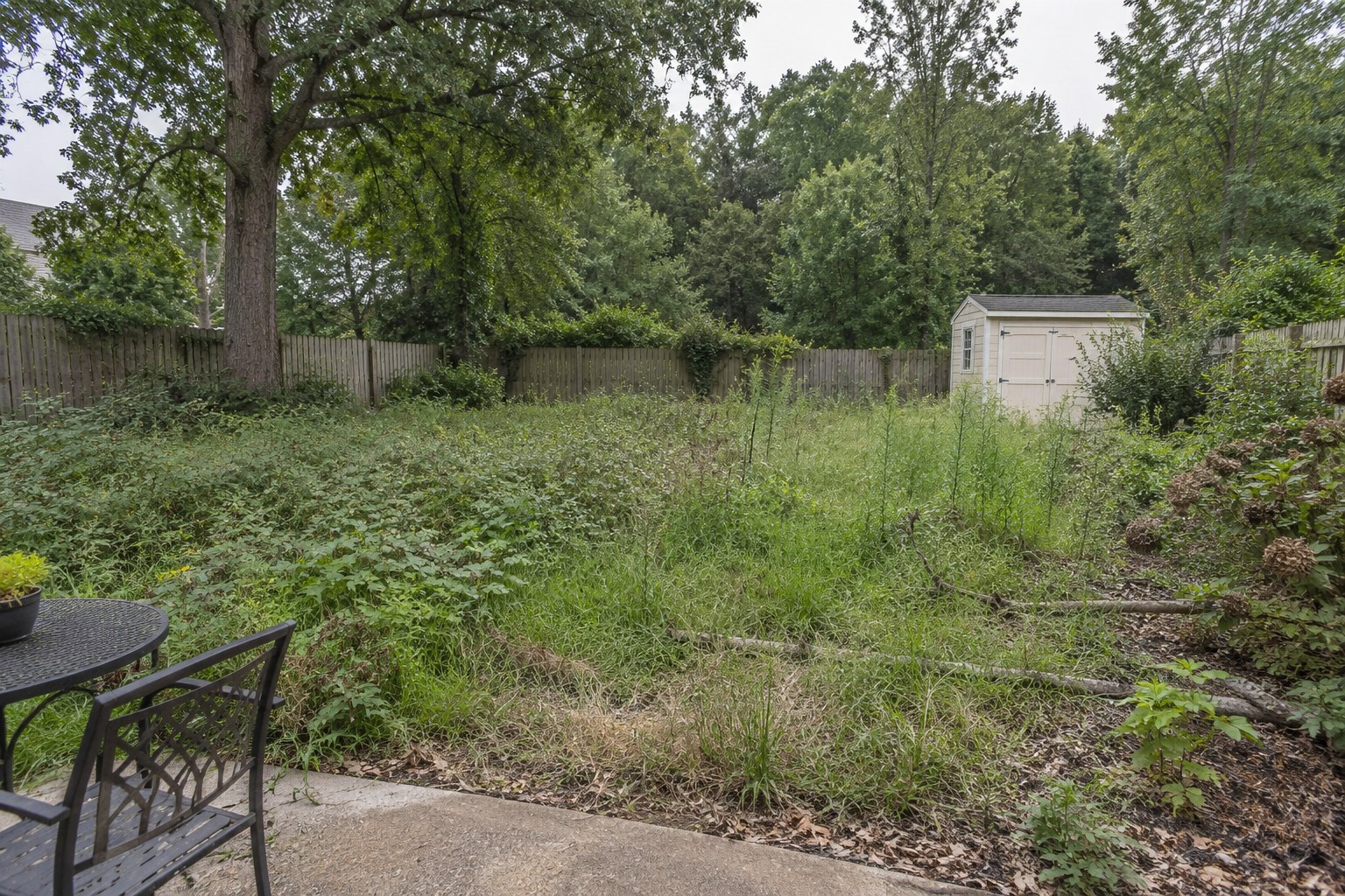 The same illustrative backyard before cleanup, with tall weeds and overgrown beds beside the cream shed and wooden fence